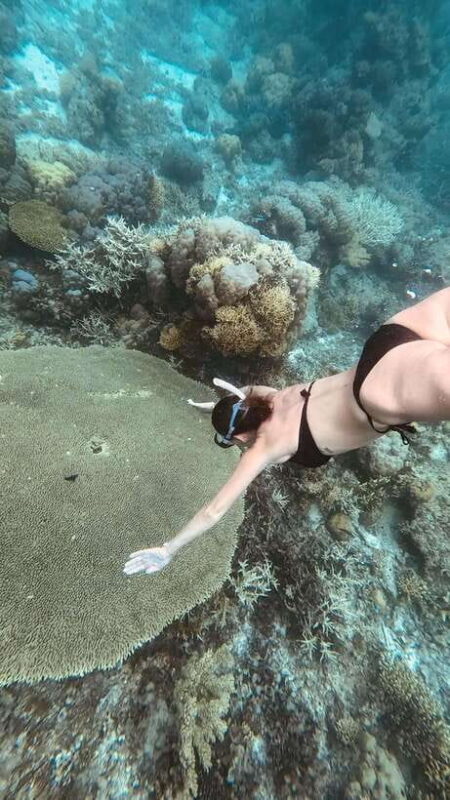 Siquijor: Freediving Adventure with Lunch and Beach Time - An In-Depth Look at the Siquijor Freediving Tour