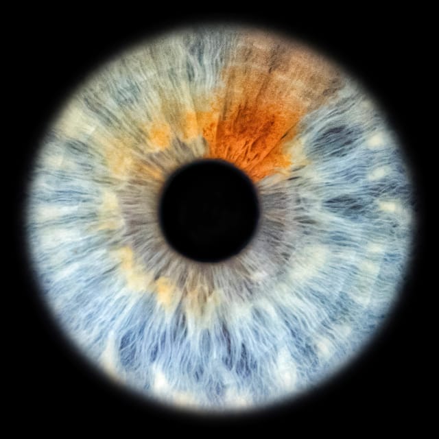 Siracusa Iris Photography Experience - Convenient Booking and Cancellation Options