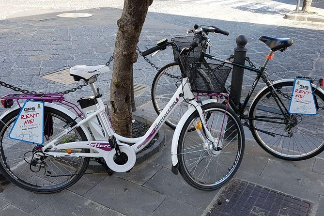 Siracusa Tour on High Tech Bike - Accessibility Information