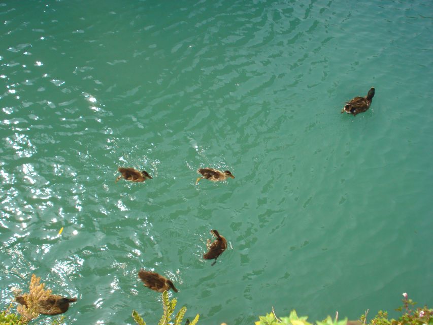 Sirmione Private Tour: on the Shores of Lake Garda - Visiting Key Churches