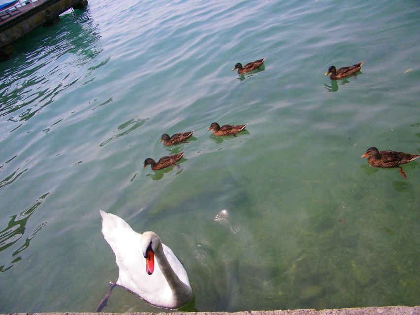 Sirmione Private Tour: on the Shores of Lake Garda - Frequently Asked Questions