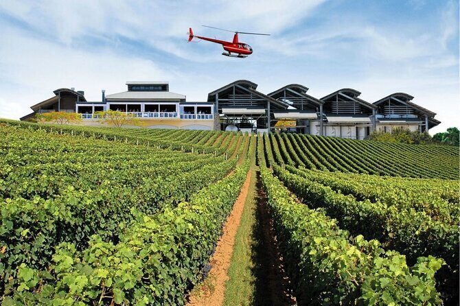 Sirromet Winery + CBD & Mt Coot-tha Private Helicopter Experience - The Winery Experience and Additional Activities