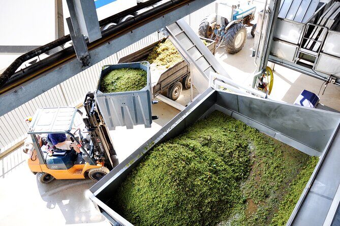 Sirromet Winery Tour and Taste and 2 Course Lunch - FAQ