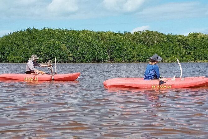 Sisal Mangroves & Beach Expedition from Merida - Why This Tour Might Be Perfect for You