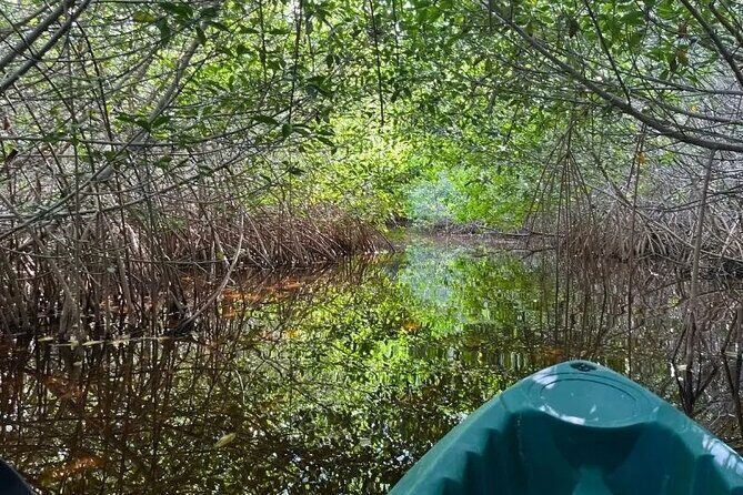 Sisal & Mangroves Kayak Tour from Merida - Authentic Experiences and Feedback from Travelers