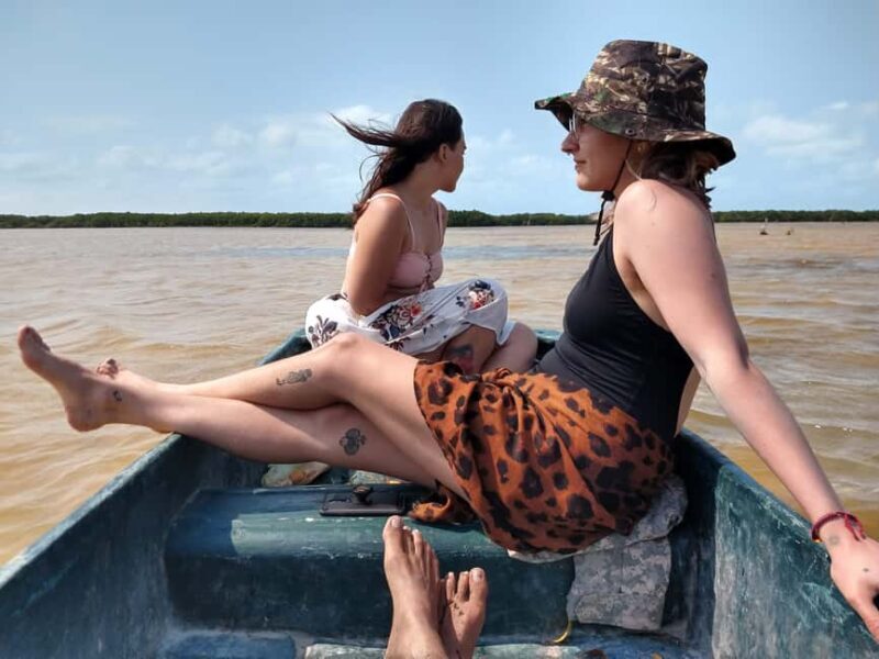 Sisal Yucatán: Flamingo Safari Tour Mangroves - Key Points