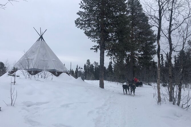 Sit Back and Relax Morning Husky Tour - Meeting and Pickup Details