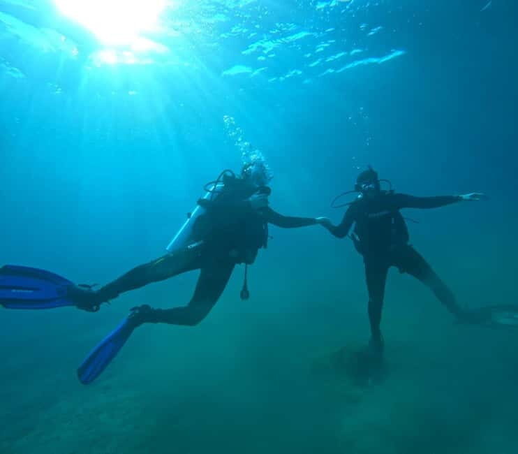 Sithonia: Half-Day Scuba Diving 2 Guided Shore Dives - Exploring the Underwater World of Sithonia: A Detailed Look at the Half-Day Scuba Experience