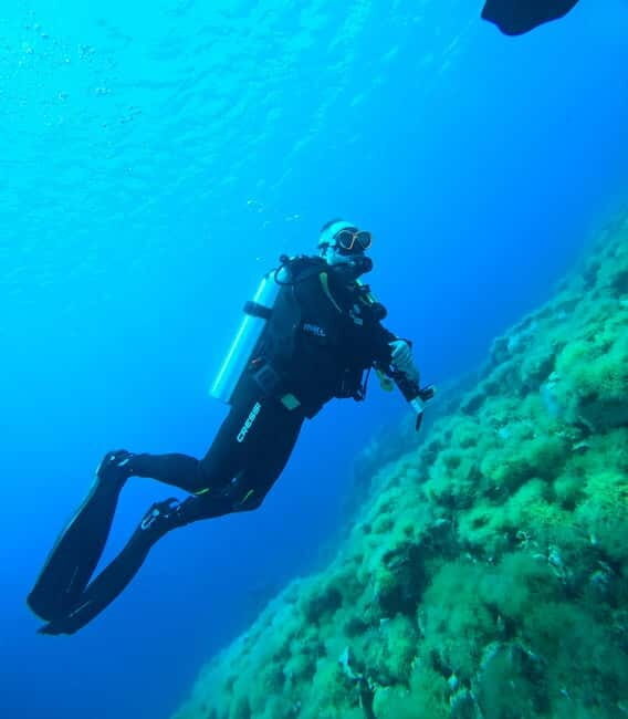 Sithonia: Half-Day Scuba Diving 2 Guided Shore Dives - Who Would Love This?