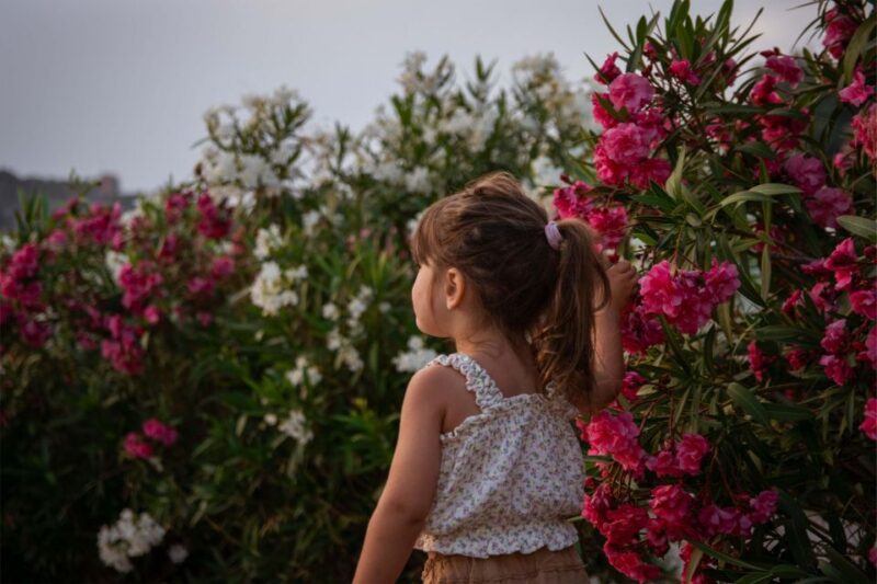 Sithonia : Holiday Photoshoting Keep Yours Memory for Ever . - Transportation and Accessibility