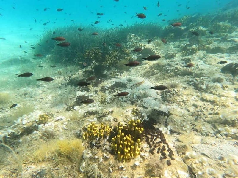 Sithonia: Scuba Diving Experience for Beginners - Who Will Love This Experience?