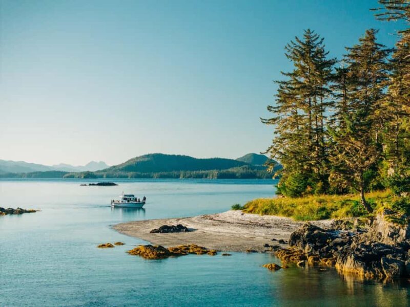 Sitka: Islands of Wonder Wildlife Adventure - Why Photographing Wildlife Is a Bonus, Not a Guarantee