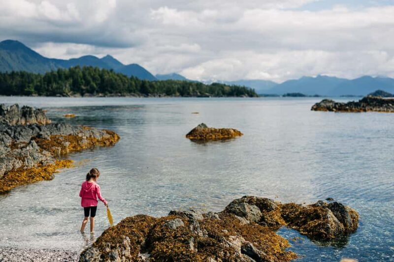 Sitka: Islands of Wonder Wildlife Adventure - The Cost and What You Get