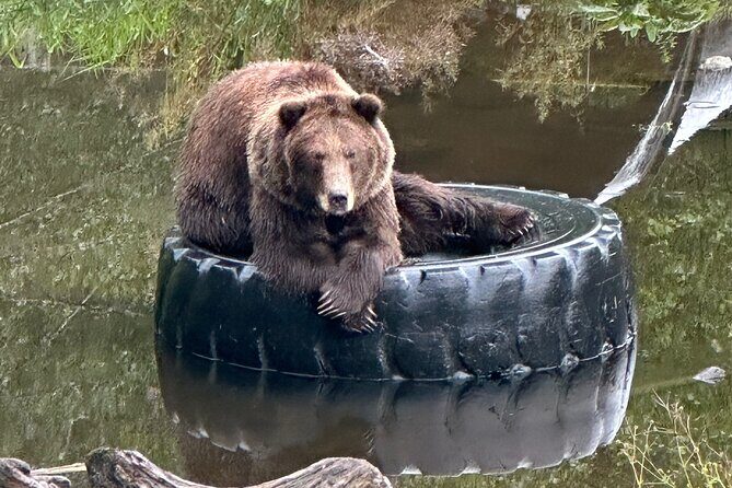 Sitka Scenic Private Tour - Key Points