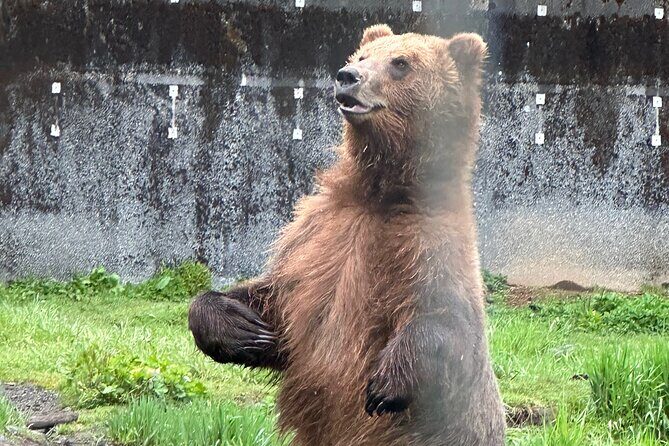 Sitka Scenic Private Tour - The Sum Up: Why Choose This Tour?