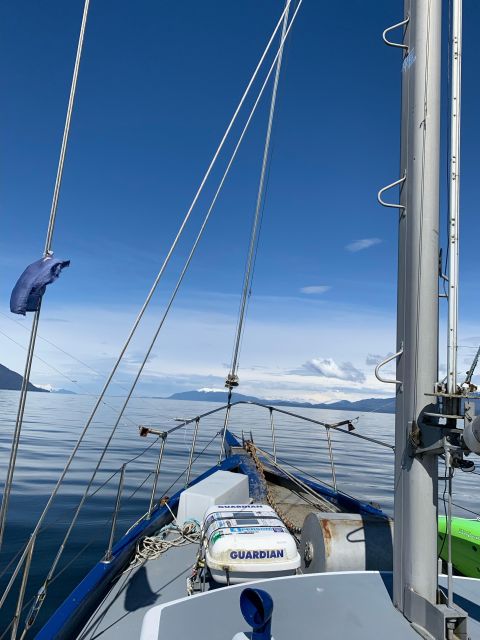 Sitka: Whale Watching, Kyaking, Hot Springs, Nature Tours - Highlights