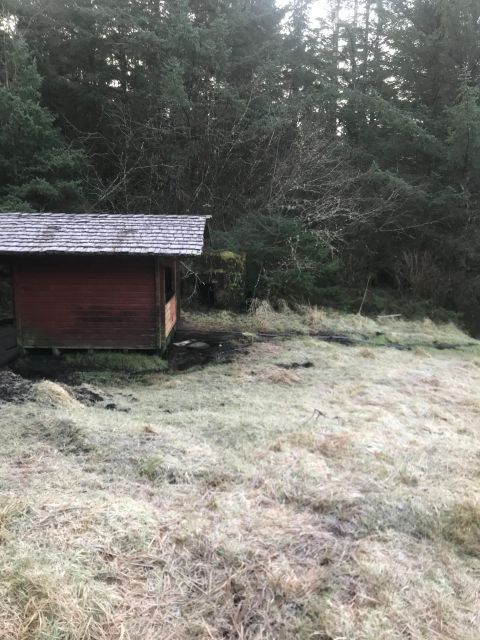 Sitka: Whale Watching, Kyaking, Hot Springs, Nature Tours - Description