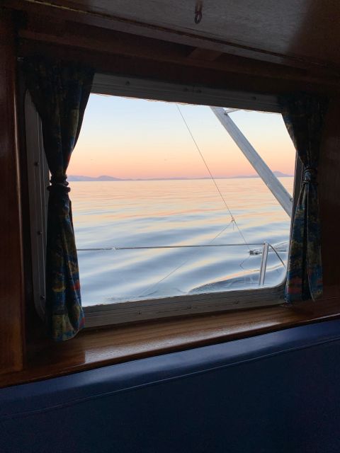 Sitka: Whale Watching, Kyaking, Hot Springs, Nature Tours - Important Information