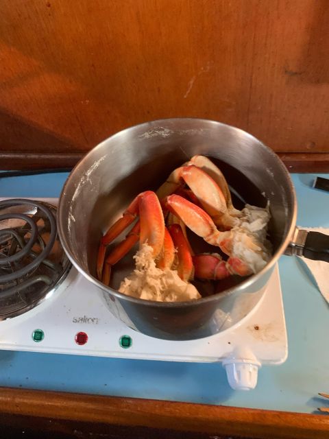 Sitka: Whale Watching, Kyaking, Hot Springs, Nature Tours - Recap