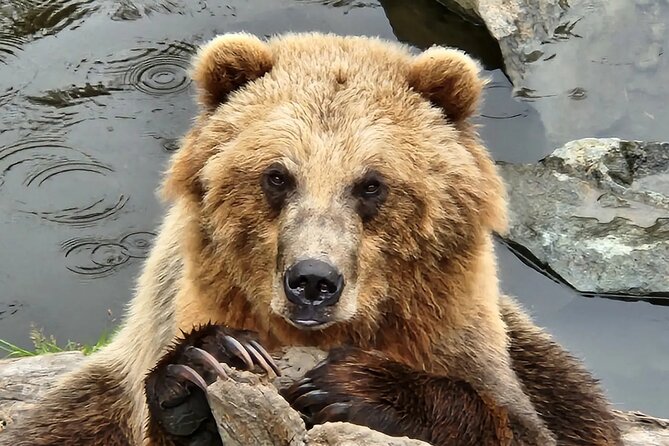 Sitkas Only Private Simply Amazing Tour - Discovering Sitka National Historical Park