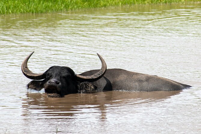 Six Flags Wild Safari Drive-Thru Adventure - Questions About Your Stay