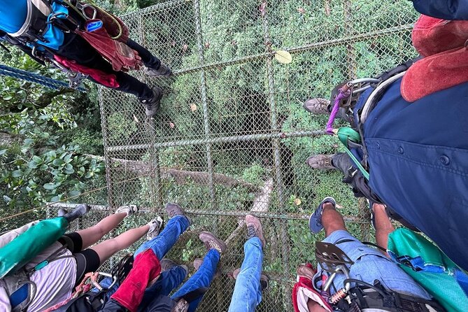 SJOS City Nature Full Combo With Sloths, University and Zipline - Tour Overview and Highlights