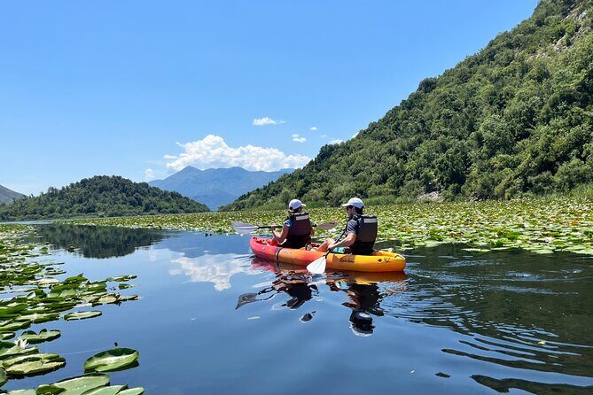 Skadar Lake: 4-Hour Guided tours on Kayak - The Sum Up