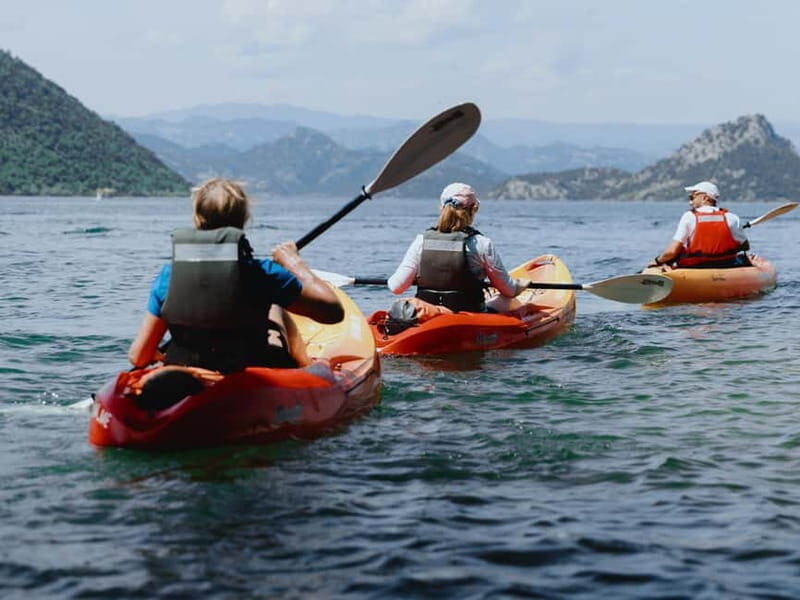 Skadar Lake: 4-Hour Guided tours on Kayak - The Experience: What to Expect on the Water