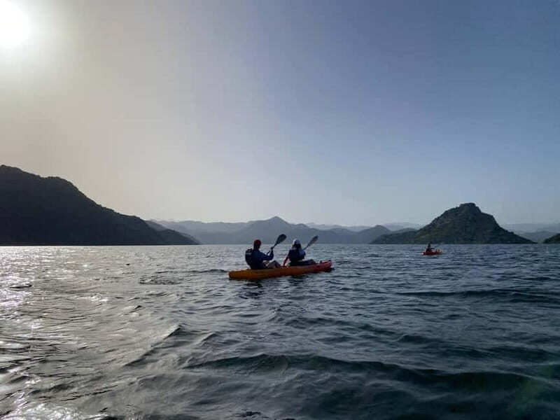 Skadar Lake: 4-Hour Guided tours on Kayak - Frequently Asked Questions