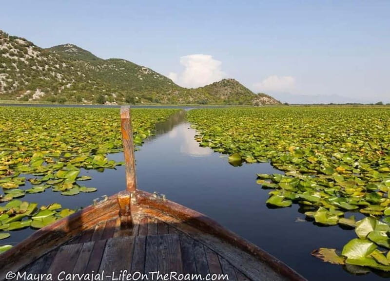 Skadar Lake Boat Tour with Transfer from Podgorica - An In-Depth Look at the Tour