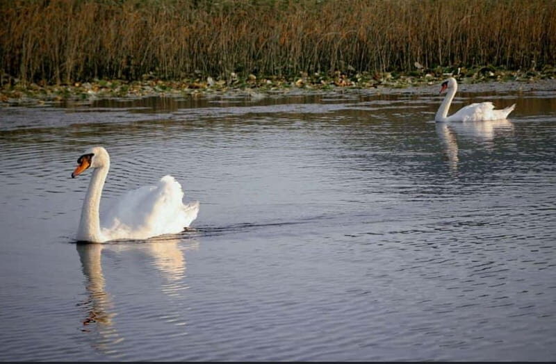 Skadar lake cruise with lunch - The Itinerary Breakdown