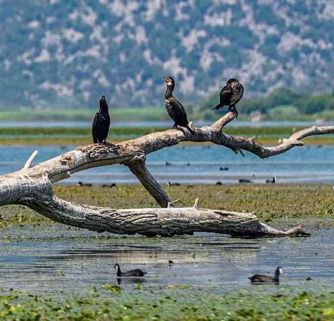 Skadar Lake: Induvidual boat tour with guide - The Sum Up: Who Will Love This Experience?