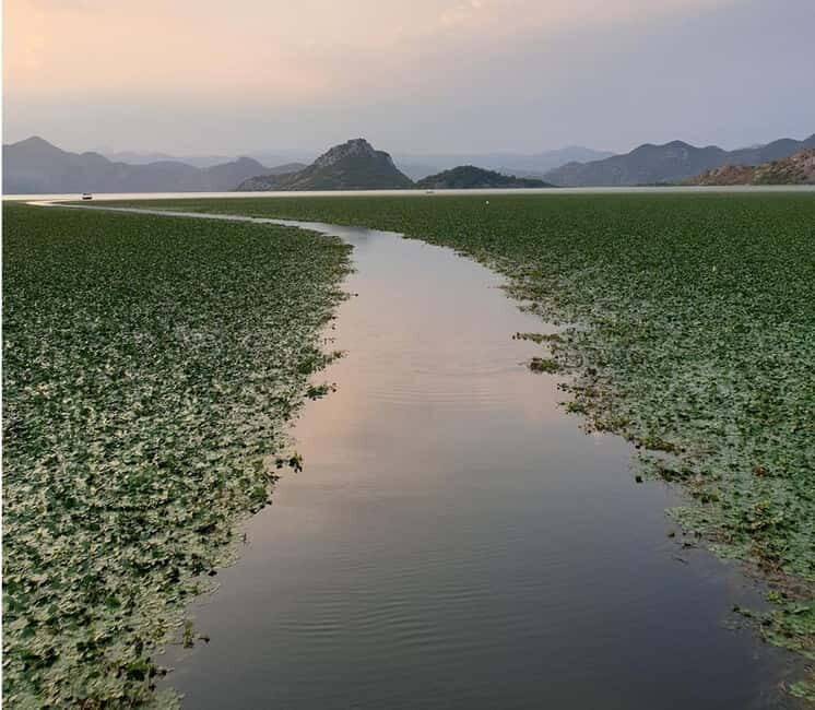 Skadar Lake kayak rent: A Journey Through Tranquility - Who Should Consider This Tour?