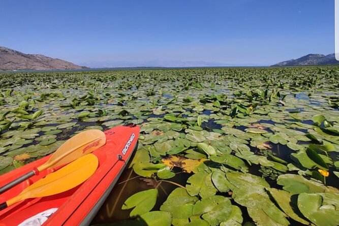 Skadar Lake Official - Kayak Tour - Picturesque Landscapes and Landmarks