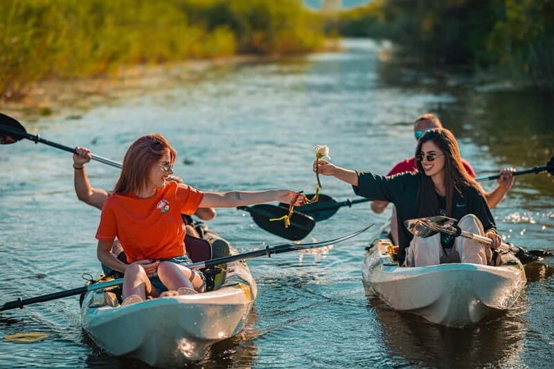Skadar Lake: Self-Guided Bird Tour & Kayak Rental - Key Points