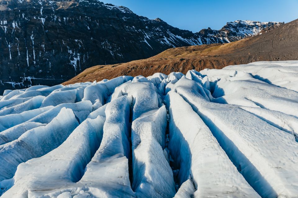 Skaftafell National Park: Falljokull Glacier Easy Hike - Frequently Asked Questions