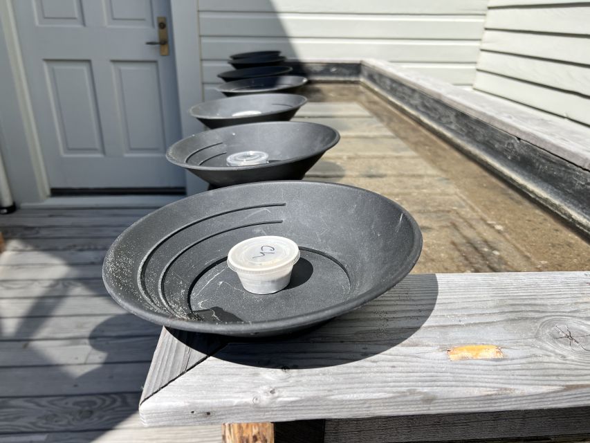 Skagway: Gold Panning Experience - Key Points