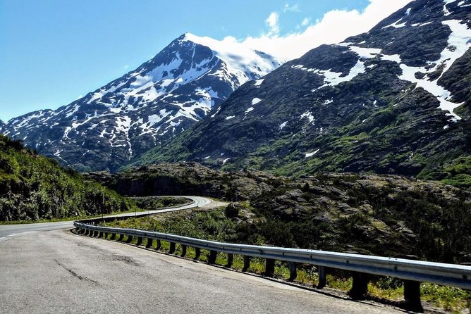 Skagway Shore Excursion: Half-Day Tour to the Yukon Border and Suspension Bridge - Passport and Visa Requirements