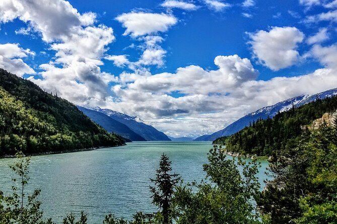Skagway Shore Excursion: Scenic River Float Tour - Returning to the Cruise Ship Terminal