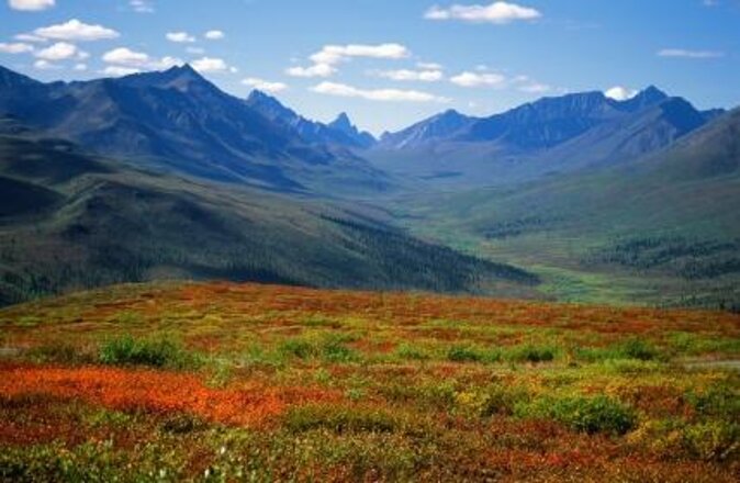 Skagway Shore Excursion: Yukon Dog Sledding and Sightseeing Tour - Scenic Drive and Sightseeing