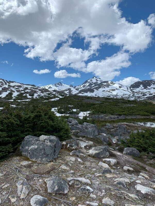 Skagway: Yukon Suspension Bridge & Summit Tour - An Honest Look at the Journey