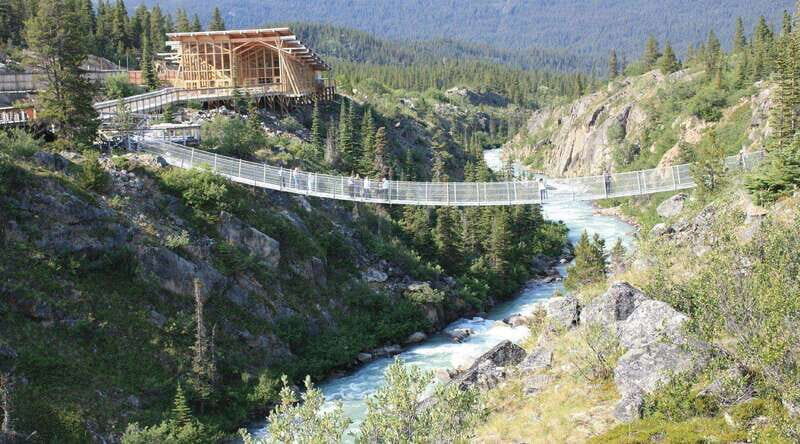 Skagway: Yukon Suspension Bridge & Summit Tour - The Guides and the Experience