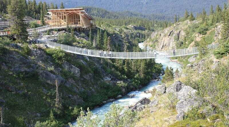 Skagway: Yukon Suspension Bridge & Summit Tour - Final Thoughts
