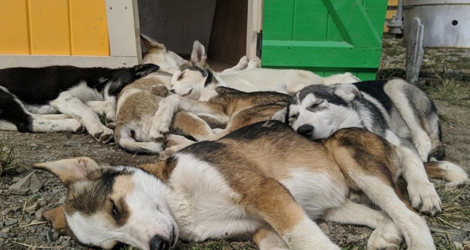 Skagway: Yukon, White Pass, & Husky Sled Camp Combo Tour - Passing Through White Pass