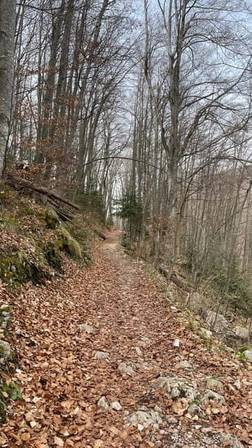 Skakavac Waterfall Hike: Explore Nature Near Sarajevo - An Inviting Day in Nature Near Sarajevo