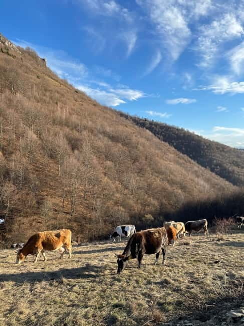 Skakavac Waterfall Hike: Explore Nature Near Sarajevo - Final Thoughts