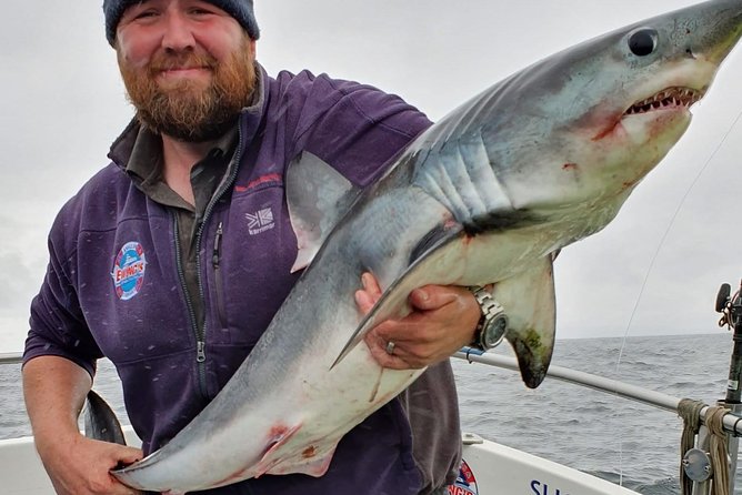 Skellig Micheal Ring - Tips for Your Visit