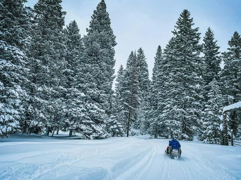Ski & Snow Tour to Bakuriani from Kutaisi with Borjomi Stop - FAQs  