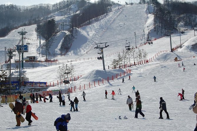 Ski Tour to Jisan Ski Resort From Seoul - Cancellation Policy