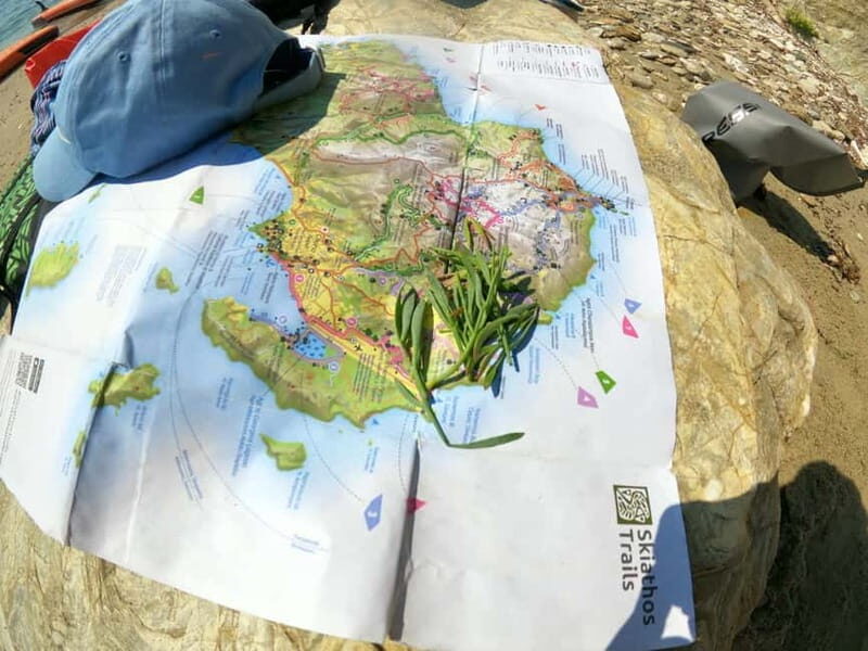 Skiathos: Guided Sea Kayaking Tour with Swim Stop - A Scenic Paddling Adventure in Skiathos